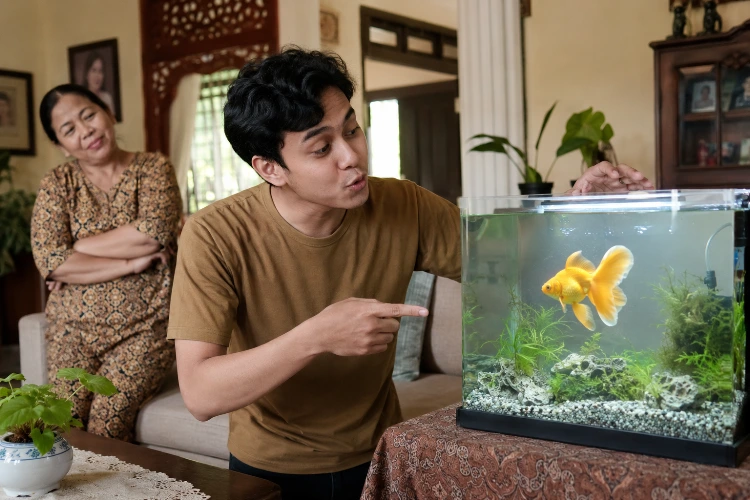 Ikan Emas yang Terlalu Pintar